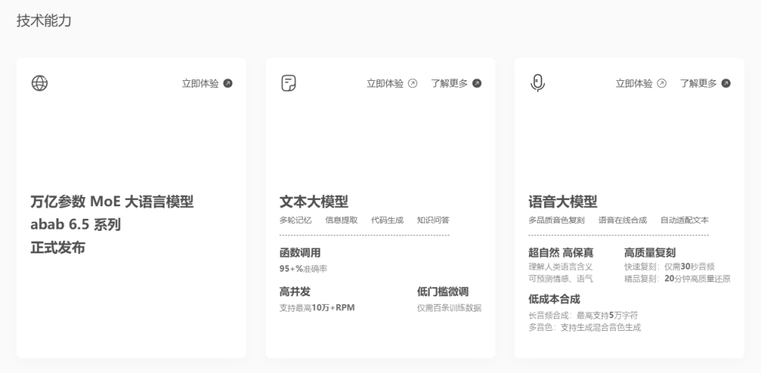 MiniMax 大语言模型
